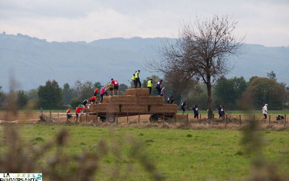 6km (2ème)